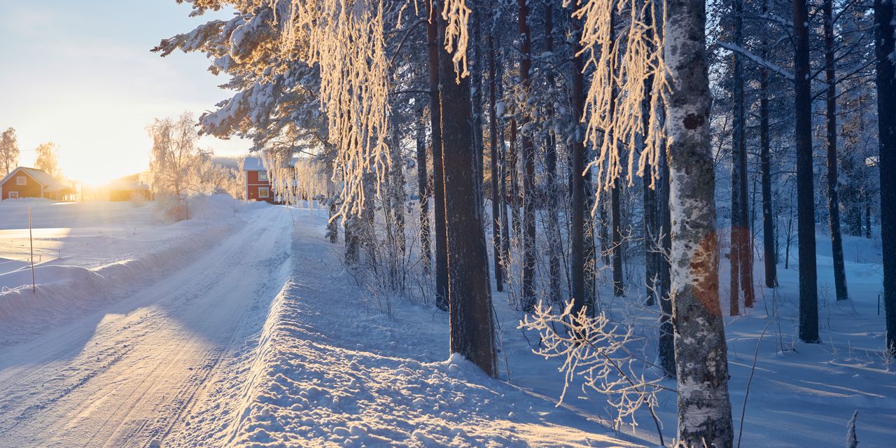 Eine verschneite Straße neben einem Wald an einem sonnigen Wintertag.